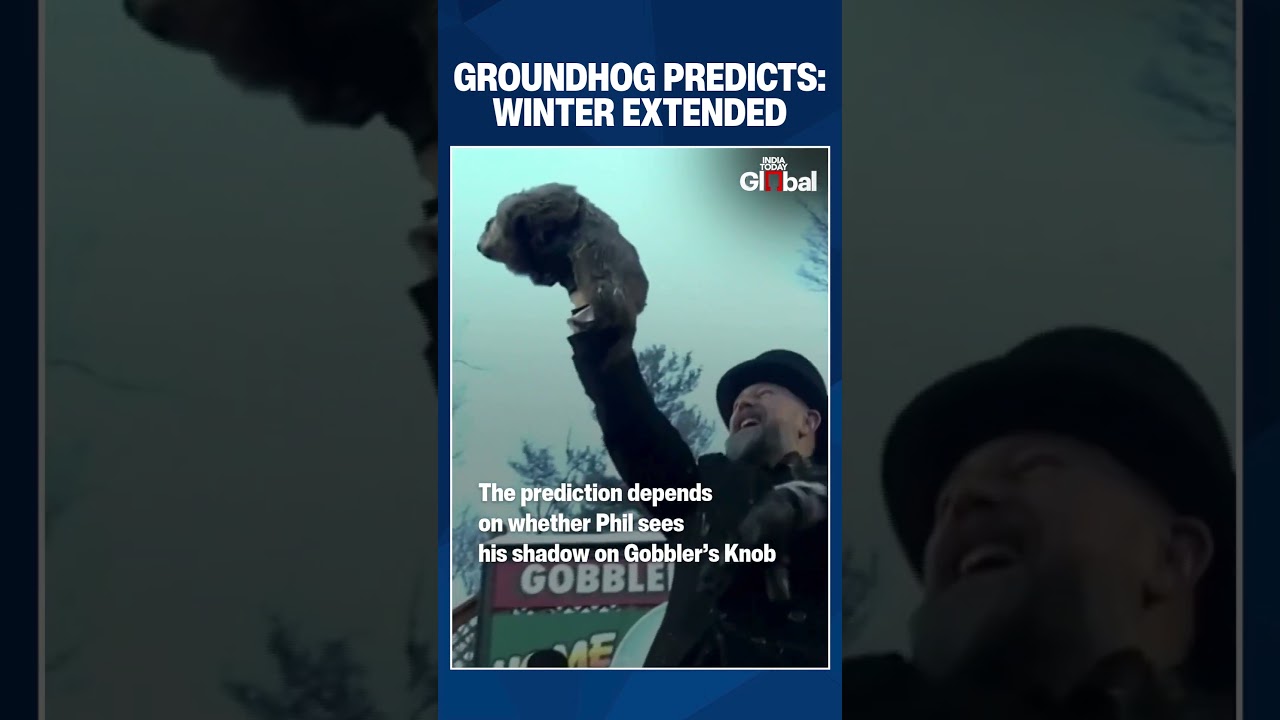 Punxsutawney Phil Just Made the Wildest Weather Prediction, 6 More Weeks of Winters
