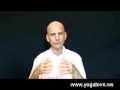 RAII 2 24 Vedic Yoga And Relationship Mpg
