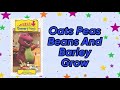 Oats Peas Beans And Barley Grow Audio