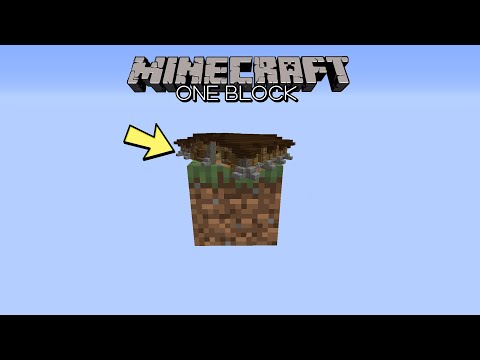 finalmente il magazzino : minecraft skyblock ma su un blocco infinito