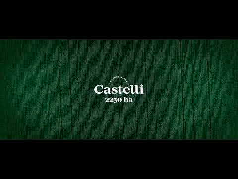 CLIP -  CASTELLI 2500