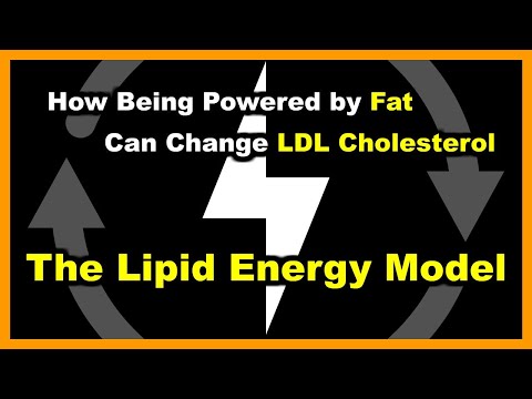 High LDL Cholesterol Increases on a Low Carb Diet - The Lipid Energy Model