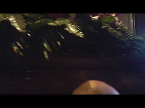 Funerale Fred Bongusto un Arrivederci