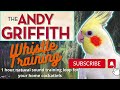Andy Griffith Theme Whistle training for your pet birds - 1 hour training loop!