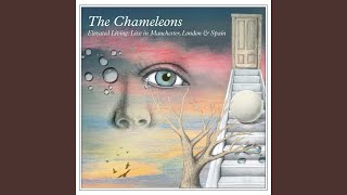 A Person Isn&#39;t Safe Anywhere These Days (Live, The Camden Palace, London, 9 November 1984)