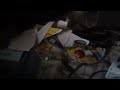 Me Destroying Another Sesame Street DVD