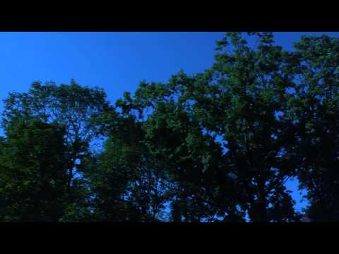 Paradisul verde  30 08 01 09 2013