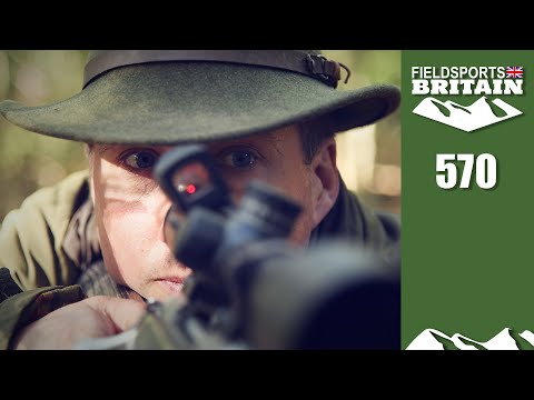 Fieldsports Britain - deer double in the rut