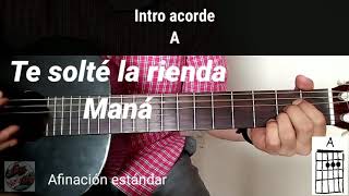 Te solté la rienda Maná José Alfredo Jimenez cover (cómo tocar) acordes y letra