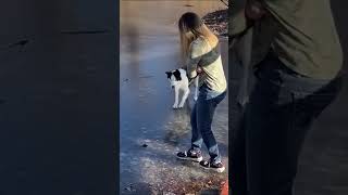 Os Cachorros Mais DRAMÁTICOS do Mundo