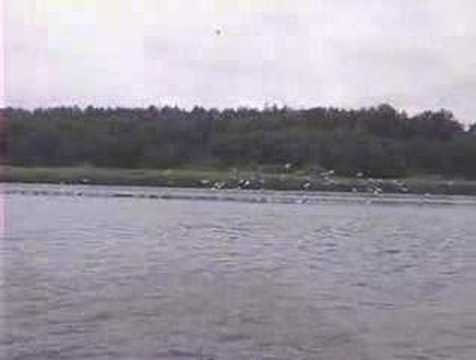 Pszczewski Park Krajobrazowy 2/3