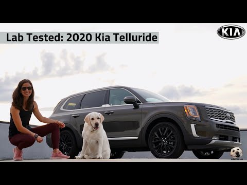 2020 Kia Telluride: Andie the Lab Review! Video