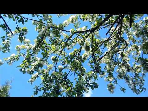 "Uśmiechem Witaj Dzień - Welcome a New Day"