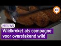 Wildkroket als campagne voor bewustwording van overstekend wild