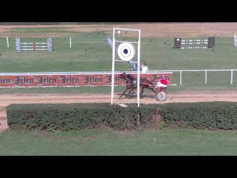 55. LjKI - POŽAREVAC - KASAČKA TRKA ,,DUNAV".