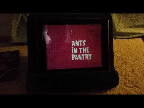 The pink panther show episode 51 pink plasma ants in the pantry pink panic
