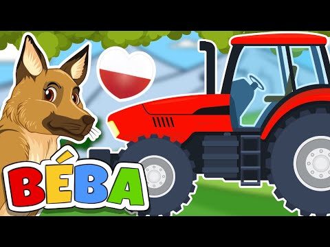 Traktor zwierzęcy | Zabawna piosenka dla najmłodszych | BÉBA