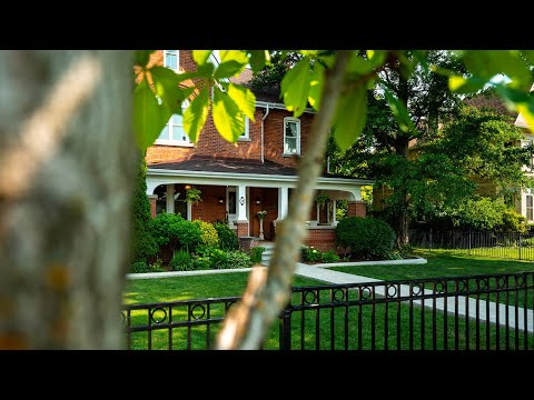 11 Zina St | SHOWCASE FILM