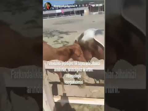 Farkındalıkla geçen anların, yaratıcılığınıza etkisi