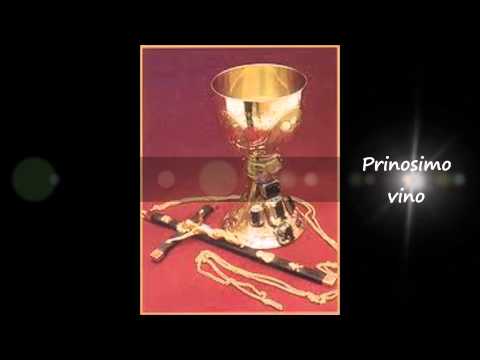 Prinosimo kruh - Tajana Šarić