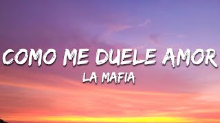 La Mafia - Como Me Duele Amor (Letra / Lyrics)