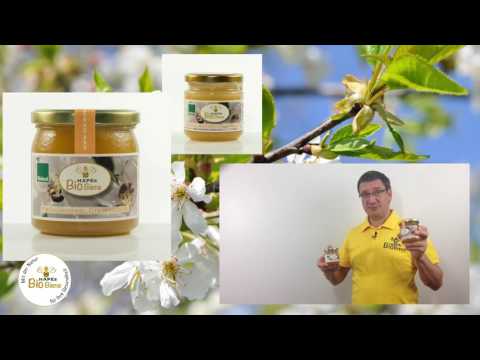 Bio Honig Frühjahrsblütenhonig #Honig online kaufen