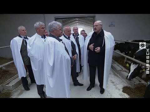 Рабочая поездка Президента Беларуси в Витебскую область (15.05.2020)