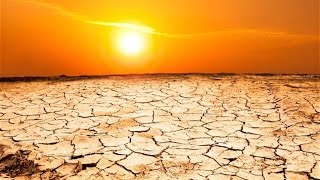 NASA Warns Climate Change Could Cause Mass Extinction Event