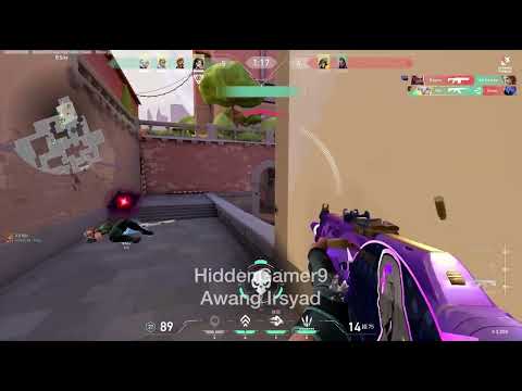 [VALORANT] Team Ace Vandal Ace!