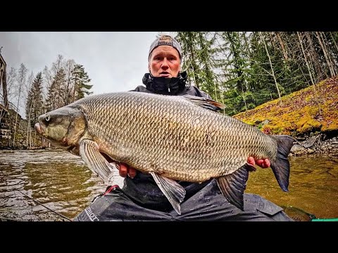 ISOA TOUTAINTA LEMPÄÄLÄN KOSKILTA | KOSKIKALASTUSTA