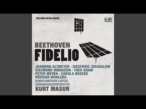 Fidelio, Op. 72: Act II: Gott, welch' Dunkel hier