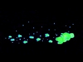 A Turtle S Tale 2010 End Credits Music