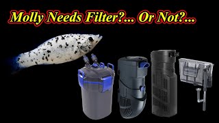 Filter தேவையா? Can We Keep Molly Fish In Tub And Add No filter (தமிழ்) / Fish Aquarium Tamil