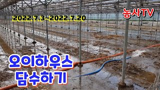 다음 작기를 위해 오이 하우스 지금부터 준비 중 첫번째 하는 일 담수 [농사TV]