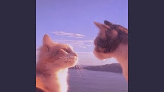 Download lagu Another Day in Paradise mp3 Download lagu Another Day in Paradise mp3