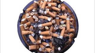 Chumbawamba - Learning to Love