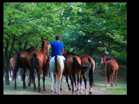 BIPHOTO - BALATON.HU 320fok-on