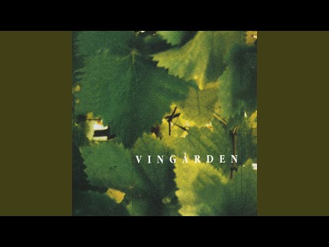 Elverskud / Elverdans