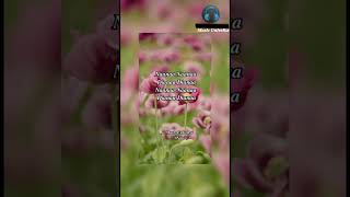 Download lagu 💕Diana Diana💕Kaadhal Kavithai💕Ilayaraja💕 Video Lyrics song💕Tamil Whatsapp Status Songs💕 mp3 Download lagu 💕Diana Diana💕Kaadhal Kavithai💕Ilayaraja💕 Video Lyrics song💕Tamil Whatsapp Status Songs💕 mp3