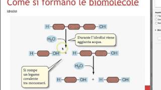 biomolecole