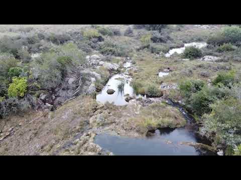 160 hás Polanco Lavalleja