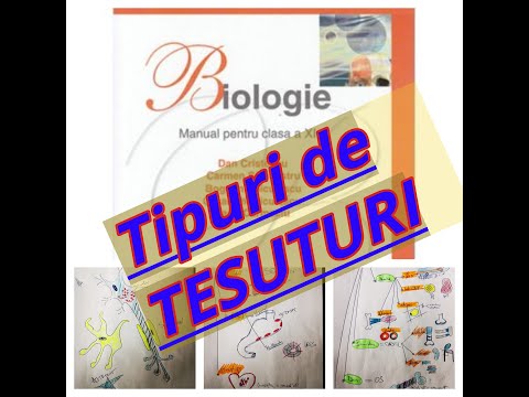 ADMITEREA la MEDICINA! Celula, TIPURILE DE TESUTURI. Explicatii dupa manualul editurii Corint.