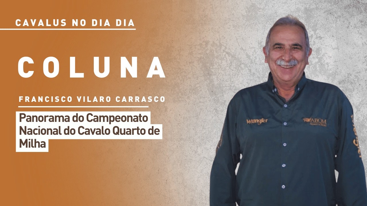 Panorama do Campeonato Nacional do Cavalo Quarto de Milha