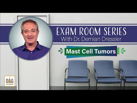 Exam Room Series: Mast Cell Tumors │ Dr. Demian Dressler