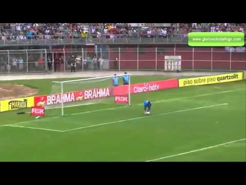 Melhores momentos Friburguense 0 x 3 Botafogo - Campeonato Carioca 2015 - www.gloriosobotafogo.com
