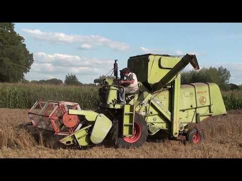 Landb. Goormachtigh - Oostkamp - Claas Mercur