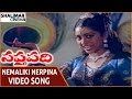 Saptapadi Movie Nemaliki Nerpina Nadakalivi Video Song Somayajulu Shalimarcinema