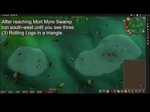OldSchool Runescape Money Making Guide +500k GP/hr - Mort Myre Fungi - Fairy Ring Method (2020)