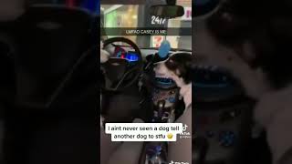 #stfu #dog #doggo #whining #mad #amgry #angry #rage #dogcar #doge #dogsincars #cars #dogs #doglife