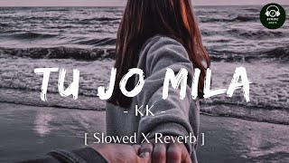 Download lagu Tu Jo Mila [Slowed X Reverb] - By K.K.| Bajrangi Bhaijaan | Lofi Song | @echoicbeats mp3